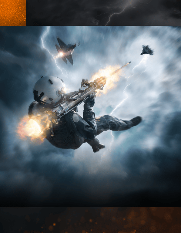 Battlefield 2042 - Player Cards